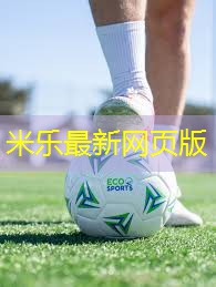 米乐:乒乓球台面涂料