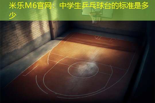 中学生乒乓球台的标准是多少