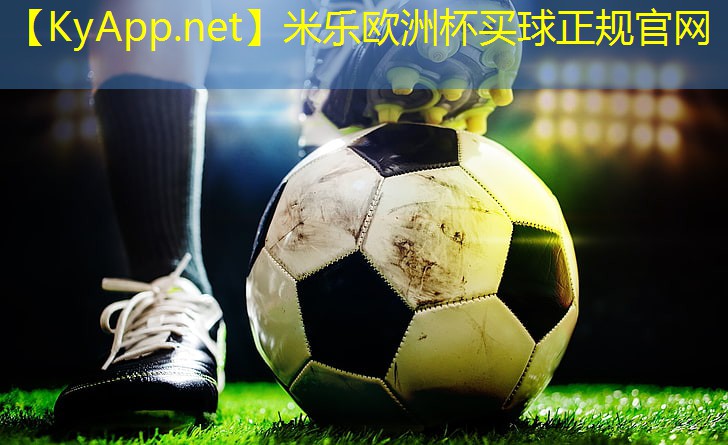 办公室运动器材