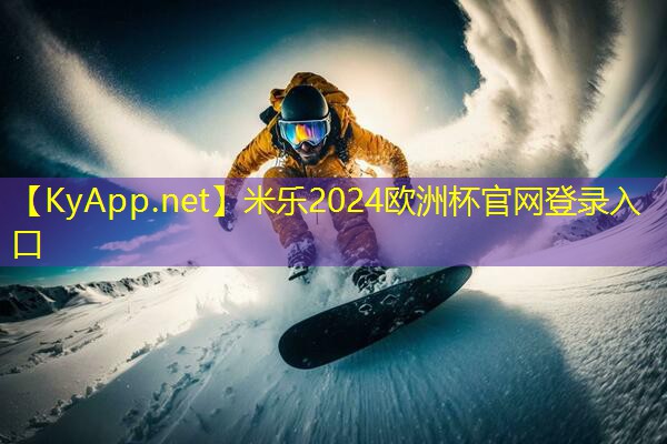 健身房器材里的球