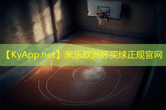 硅pu蓝球场